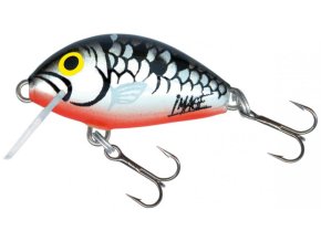 Wobler Salmo TINY SI (* Wobler Salmo TINY SLV 3,0cm Sinking)