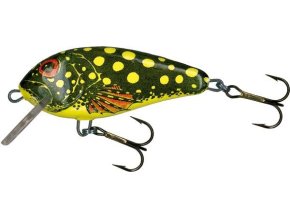 Wobler Salmo BUTCHER BE (* Wobler Salmo BUTCHER BE 5,0cm Floating DR)
