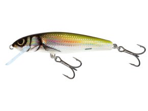 Wobler Salmo MINNOW HBL (* Wobler Salmo MINNOW HBL 9,0cm Sinking)