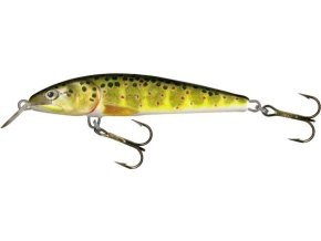 Wobler Salmo STING T (* Wobler Salmo STING T 9,0cm Suspending)