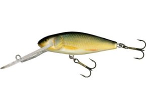 Wobler Salmo PERCH RR (SDR) (* Wobler Salmo PERCH RR 8,0cm Floating SDR)