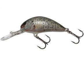 Wobler Salmo HORNET RCR (* Wobler Salmo HORNET RCR 6,0cm Sinking)