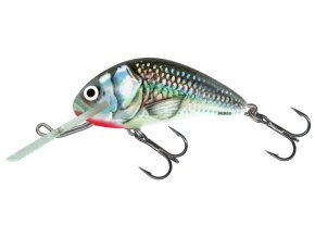 Wobler Salmo HORNET HGS (* Wobler Salmo HORNET HGS 6,0cm Floating)