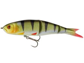 SAVAGE GEAR Soft 4play Ready To Fish P