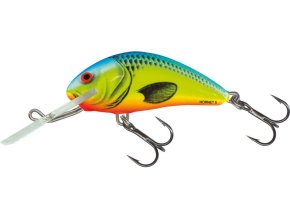 Wobler Salmo HORNET CB (* Wobler Salmo HORNET CB 6,0cm Sinking)