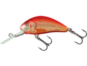 Wobler Salmo HORNET OC (* Wobler Salmo HORNET OC 6,0cm Sinking)