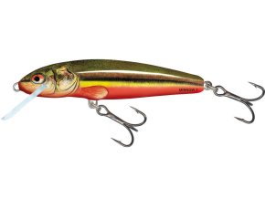 Wobler Salmo MINNOW RBD (* Wobler Salmo MINNOW RBD 9,0cm Sinking)