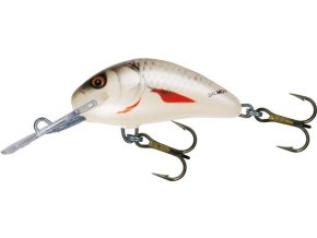 Wobler Salmo HORNET D (* Wobler Salmo HORNET D 6,0cm Sinking)