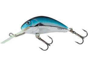 Wobler Salmo HORNET SBH (* Wobler Salmo HORNET SBH 6,0cm Sinking)