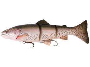 Savage Gear 3D Trout Line Thru RT (* Savage Gear 3D Trout Line Thru RT 30cm / 303g / MS)