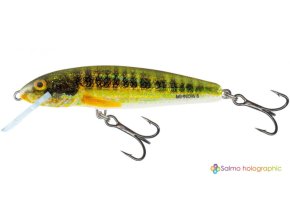 Wobler Salmo MINNOW HRM (* Wobler Salmo MINNOW HRM 9,0cm Sinking)