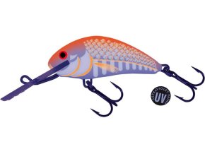 Wobler Salmo HORNET UVO (* Wobler Salmo HORNET UVO 4,0cm Floating)