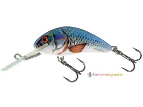 Wobler Salmo HORNET HOR (* Wobler Salmo HORNET HOR 6,0cm Sinking)