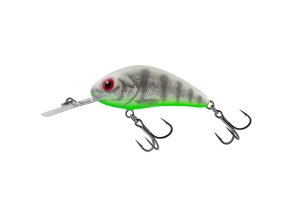 Wobler Salmo Rattlin Hornet GPE (* Wobler Salmo Rattlin Hornet GPE 6,5cm Floating)