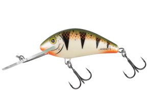 Wobler Salmo HORNET NPE (* Wobler Salmo HORNET NPE 6,0cm Floating)