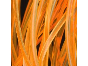 Tělíčkový materiál HENDS Body Glass BGP91 fluo oranžový