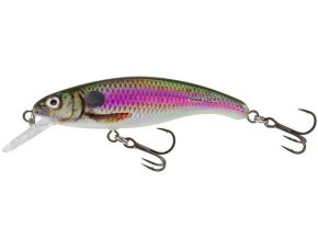46407 wobler salmo slick stick stb 6 0cm floating