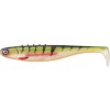 Gumová nástraha Dragon FLASH 20cm 50g WP