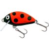 Wobler Salmo TINY LB (* Wobler Salmo TINY LB 3,0cm Sinking)