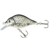 Wobler Holo Select Carpan WB