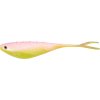 Drop-Shot DRAGON Fatboy PRO 30-301