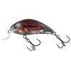 Wobler Salmo Rattlin Hornet SR RLC (* Wobler Salmo Rattlin Hornet SR RLC 3,5cm Floating)