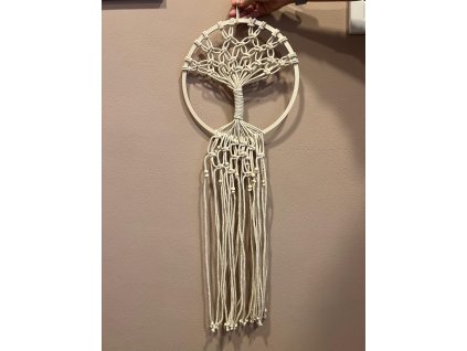 WhatsApp Image 2026 01 09 at 13.04.37 (1)