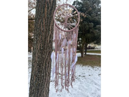 WhatsApp Image 2026 02 02 at 11.13.39 (24)