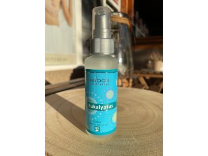 Natur Aroma Airspray EUKALYPTUS 50 ml Saloos