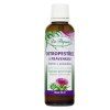 Ostropestřec s právenkou, originální bylinné kapky, 50 ml