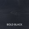 Bold Black