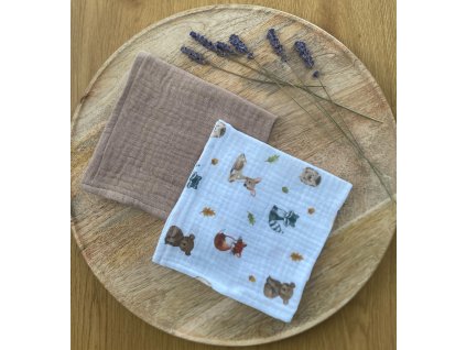 Výhodná sada slintáčků- lišky