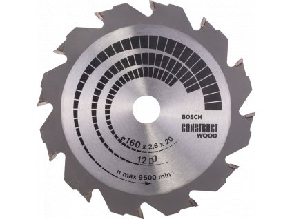 BOSCH pilový kotouč Construct Wood 160x20mm (12z)