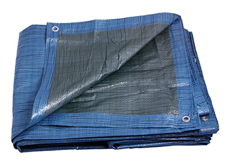 Levně FESTA PE plachta zakrývací EKONOMIK 6x10m modrá