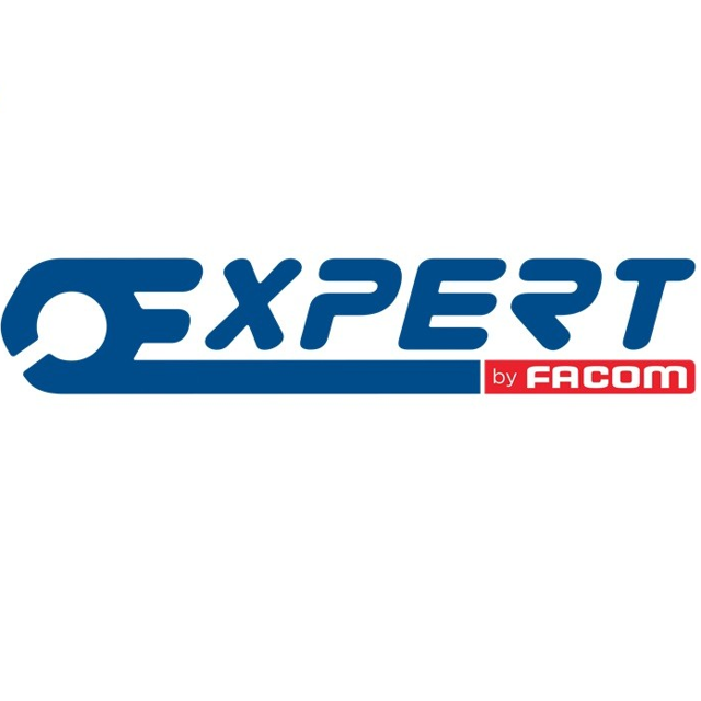 TONA EXPERT E113217 22mm chromovaný očkoplochý klíč