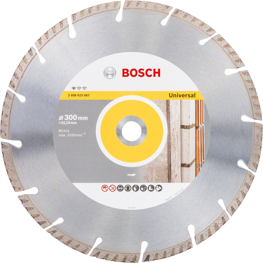 BOSCH DIA kotouč Standard for Universal 300x22.23mm (1 ks)