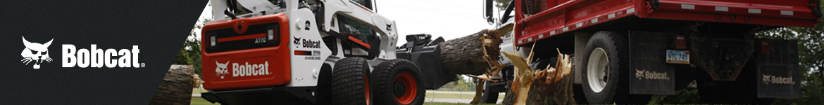 bobcat_title