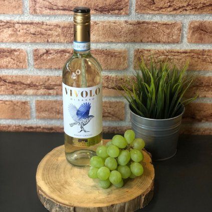 VIVOLO di Sasso Pinot Grigio 2021