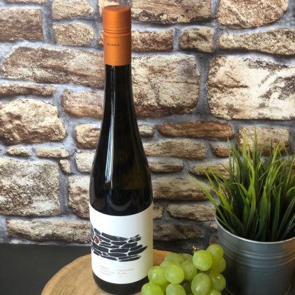 VÍNO RARIGA - Sauvignon blanc 2022