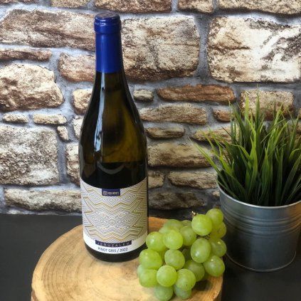 REPA WINERY - Jeruzalem Pinot gris 2022