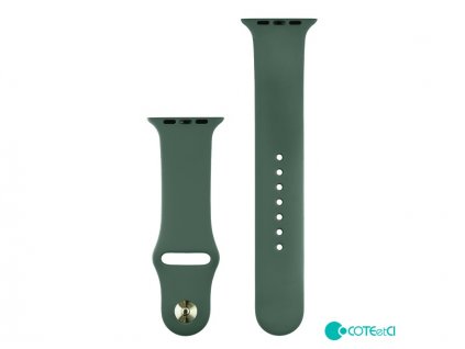 COTECi Silicone Sports Band for Apple Watch 38/40/41mm Deep Green