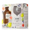 June Gin Peach darkove baleni sklenice