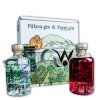 GinWorld Palava Farni gin lahev krabice