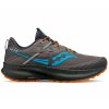 Saucony Ride 15 TR S20775-25