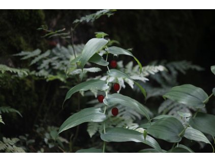 3da08eab e326 4c8f 9b12 817d56a0809c