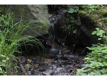 f74a6ee8 0c80 4fa3 b77d 7a05d903cdf9