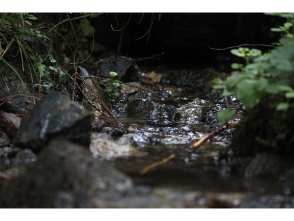 2bfc9afc 3c64 467f 8a40 3b35c06ae686