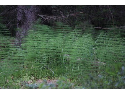 d08f628f 15cb 4bd4 8309 820beb3bcdcc