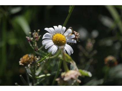 bb89bc04 03db 4ed1 82f9 7f290753c413