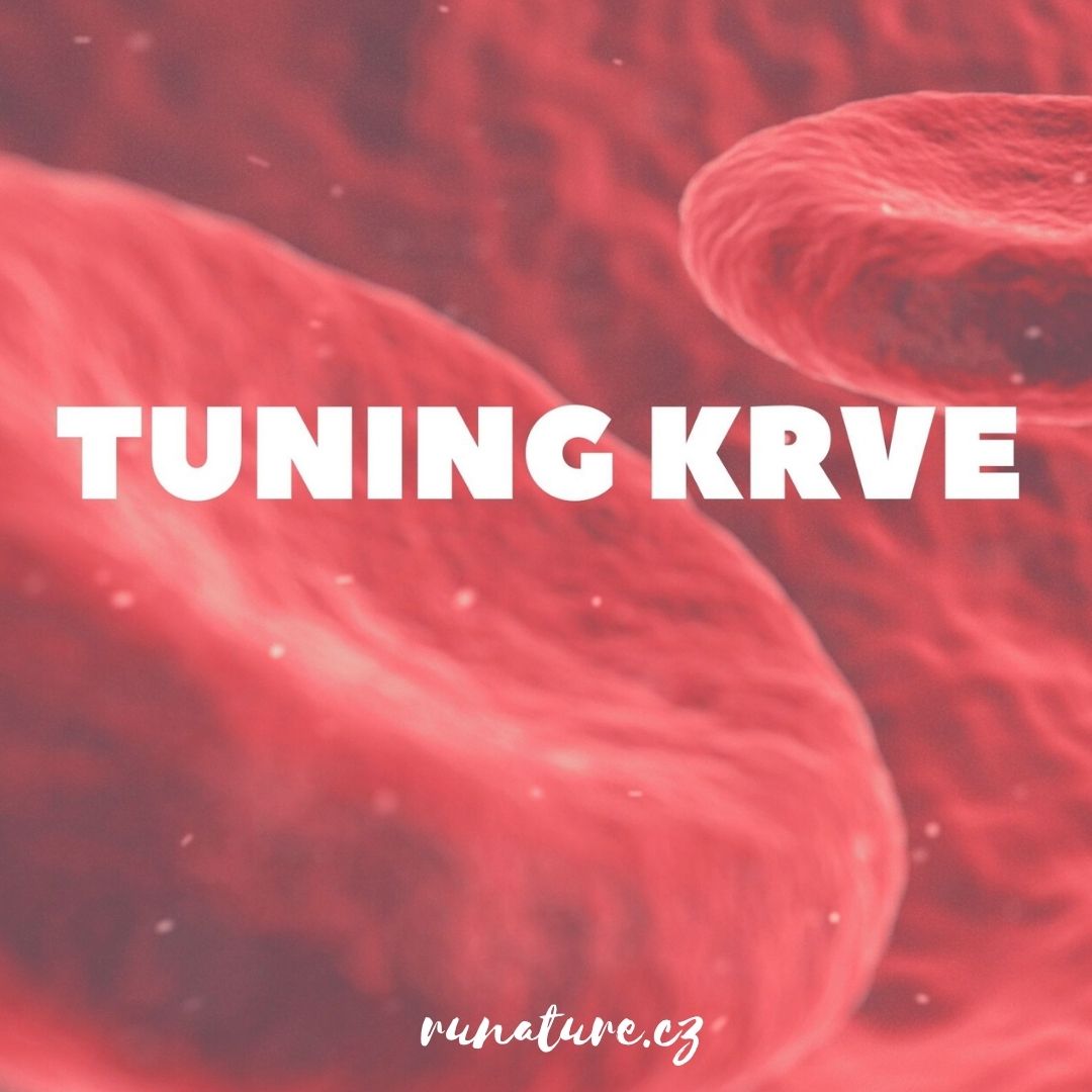 TUNING KRVE (aneb Dej tělu co si zaslouží)